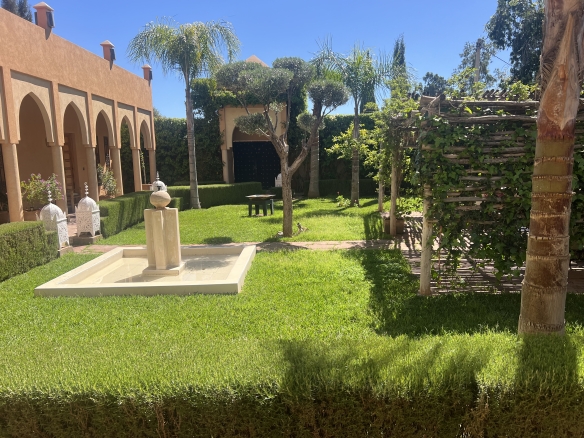 img 2602