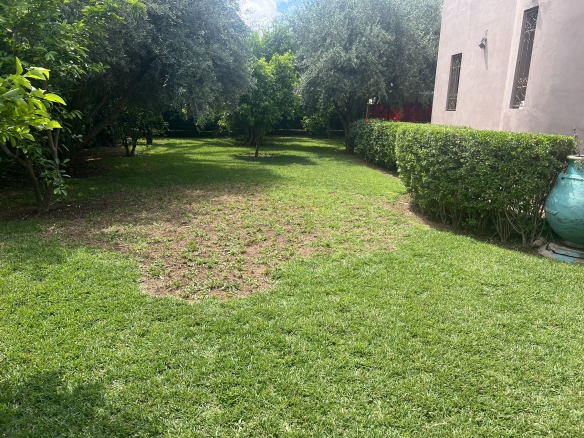 img 3058