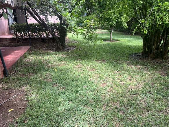 img 3064